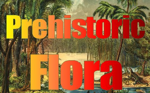 Prehistoric Flora