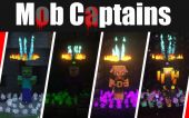怪物队长 (Mob Captains)