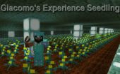 Giacomo's Experience Seedling