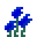 蓝色神秘花 (Mystical Blue Flower)