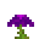 紫色神秘花 (Mystical Purple Flower)