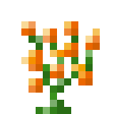 橙色荧光花 (Glimmering Orange Flower)