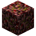 Nether Pyrite Ore (Nether Pyrite Ore)