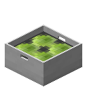 卷心菜盒子 (Cabbage Box)