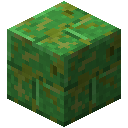 苔藓绿片岩砖块 (Mossy Green Schist Bricks)