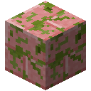 苔藓石英岩砖块 (Mossy Quartzite Bricks)