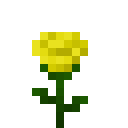 黄玫瑰 (Yellow Rose)