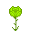 橄榄石荧光玫瑰 (Peridot Glow Rose)