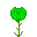 绿柱石荧光玫瑰 (Green Sapphire Glow Rose)