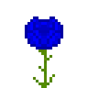 蓝宝石荧光玫瑰 (Sapphire Glow Rose)