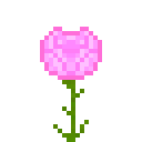 摩根石荧光玫瑰 (Morganite Glow Rose)