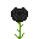 缟玛瑙荧光玫瑰 (Onyx Glow Rose)