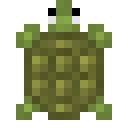 海龟 (Turtle)
