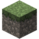 花岗岩草方块 (Granite Grass)