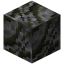 页岩烟煤 (Shale Bituminous Coal)