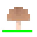 棕蘑菇 (Brown Mushroom)