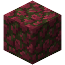 苔藓红色花岗岩圆石 (Mossy Red Granite Cobblestone)
