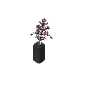 花瓶（樱花） (Vase Cherry Blossom)