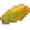 木瓜 (Papaya)