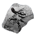 Sinoceratops Skull (Sinoceratops Skull)