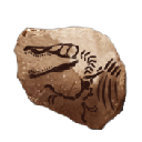 Spinosaurus Skull (Spinosaurus Skull)