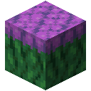 紫色梭鱼草块 (Purple Pickerelweed Block)