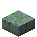 Mossy Stone Brick Slab (Mossy Stone Brick Slab)