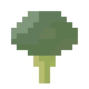 西兰花 (Broccoli)