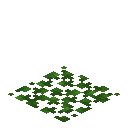 白桦树叶地毯 (Birch Leaf Carpet)