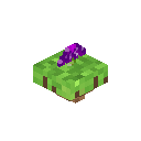 紫色浮空花 (Floating Purple Flower)