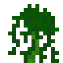 绿色高神秘花 (Tall Mystical Green Flower)