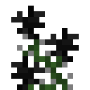 黑色高神秘花 (Tall Mystical Black Flower)