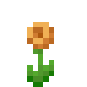 Globeflower (Globeflower)