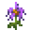 紫色百合 (Purple Lily)