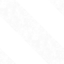 白色斑马线区 (White Zebra Area)