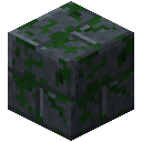 苔藓板岩砖块 (Mossy Slate Bricks)
