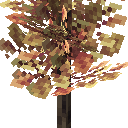一键生成 - 枫树 (Generator - Maple Tree)