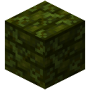Mossy Infested Brick