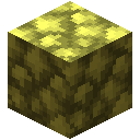 金矿石块 (Block of Gold Ore)