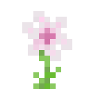 染梦花 (Dreamy Flower)