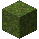 Moss Block