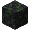 诅咒苔粘板岩砖 (Cursed Mossy Black Argillite Brick)