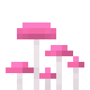 高粉顶菇 (Pink-shroom)