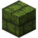 Moss Bricks