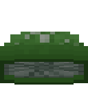 Green Mushroom Cap