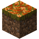 被橙色落叶覆盖的草方块 (Grass Block With Fallen Orange Leaves)