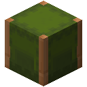 绿色铜质潜影盒 (Green Copper Shulker Box)