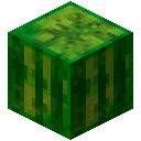 钻石块植物 (Block Plant Diamond)