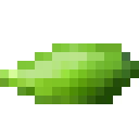 地梢瓜 (ground cucumber)