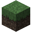 森林草方块 (Forest Grass Block)